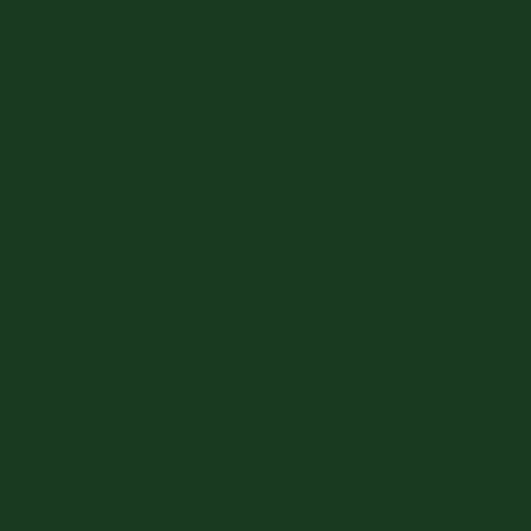 Garagentor-Farbe "Tannengrün" einer JUWEL Fertiggarage